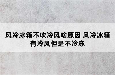 风冷冰箱不吹冷风啥原因 风冷冰箱有冷风但是不冷冻